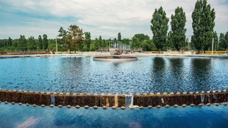 Adsorbs taste, odor, and organic contaminants, improving flavor, clarity, and regulatory compliance in municipal water.