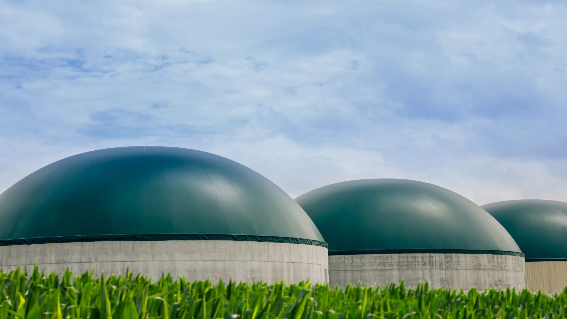 biogas plant-2